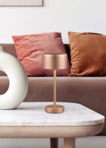 View of modern scandinavian style interior with sofa. Home stagi