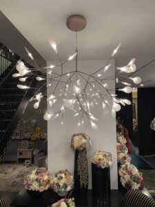 IMG 4789